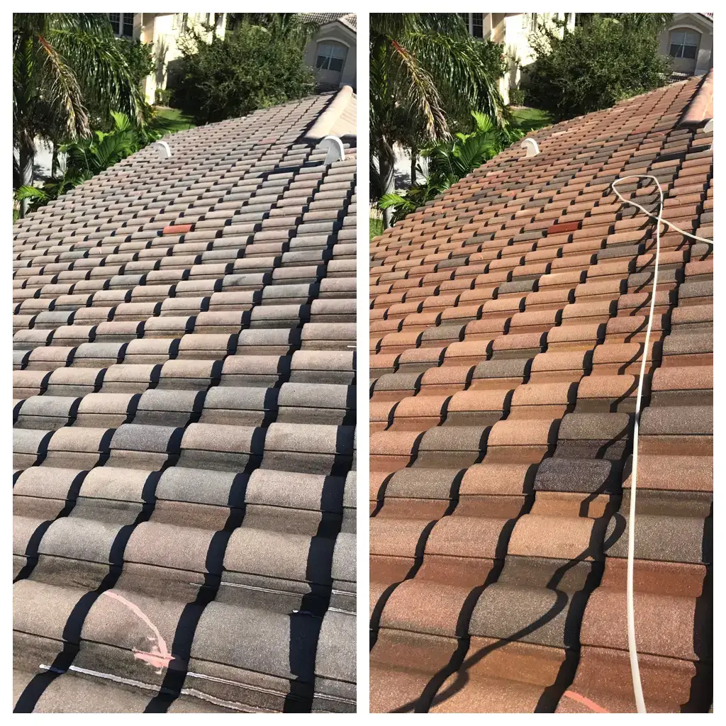 Roof Cleaning Before & After 8