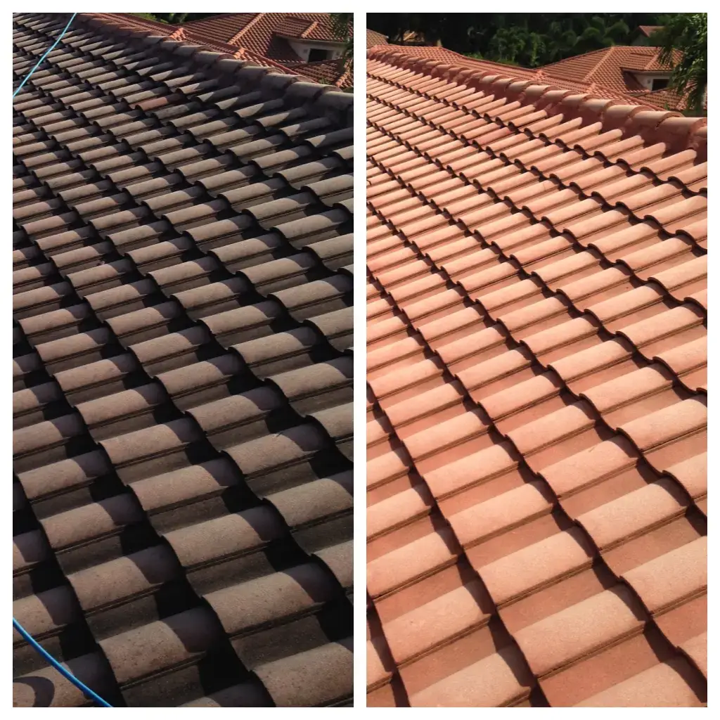 Roof Cleaning Boca Raton