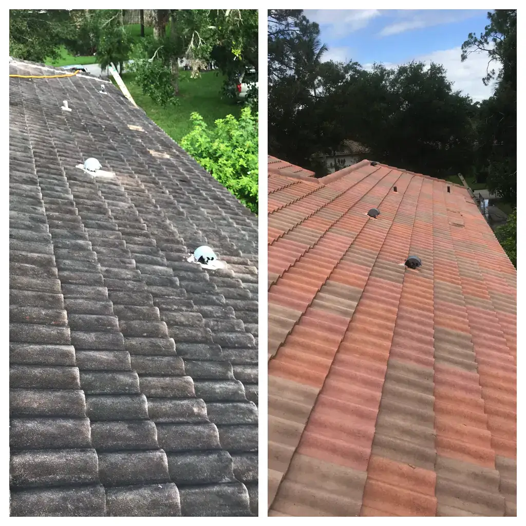 Roof Cleaning Before & After 4