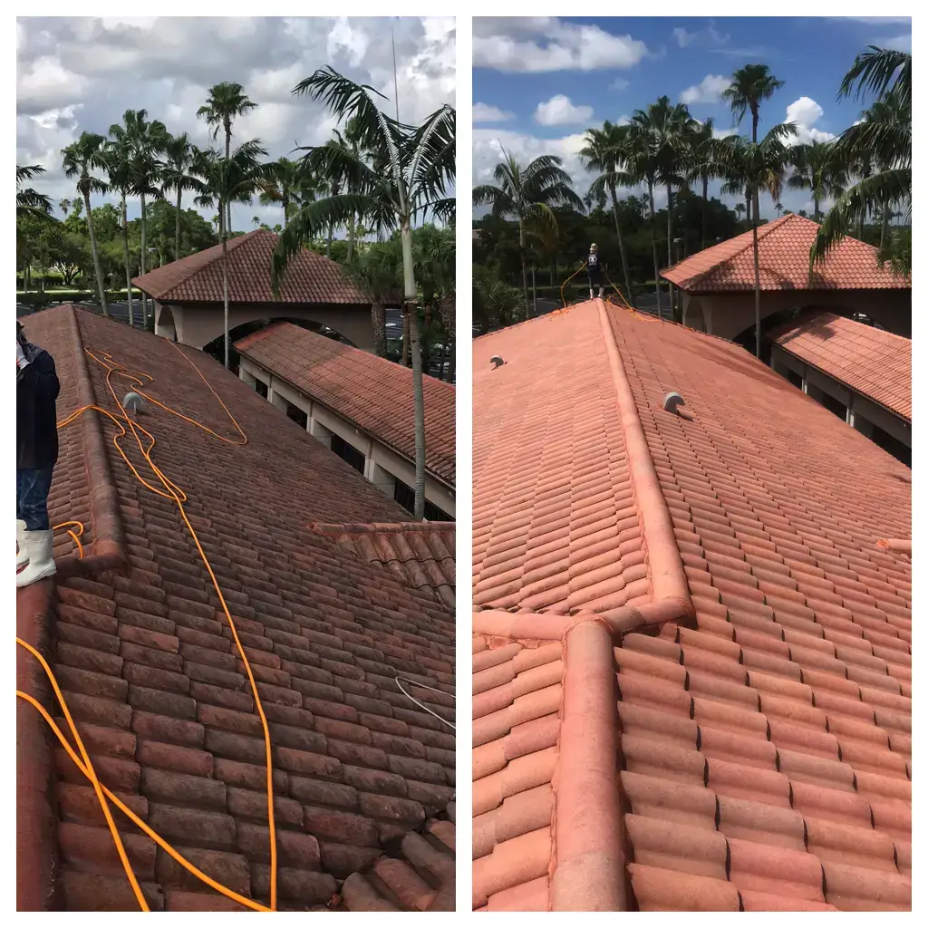 Roof Cleaning Before & After 3