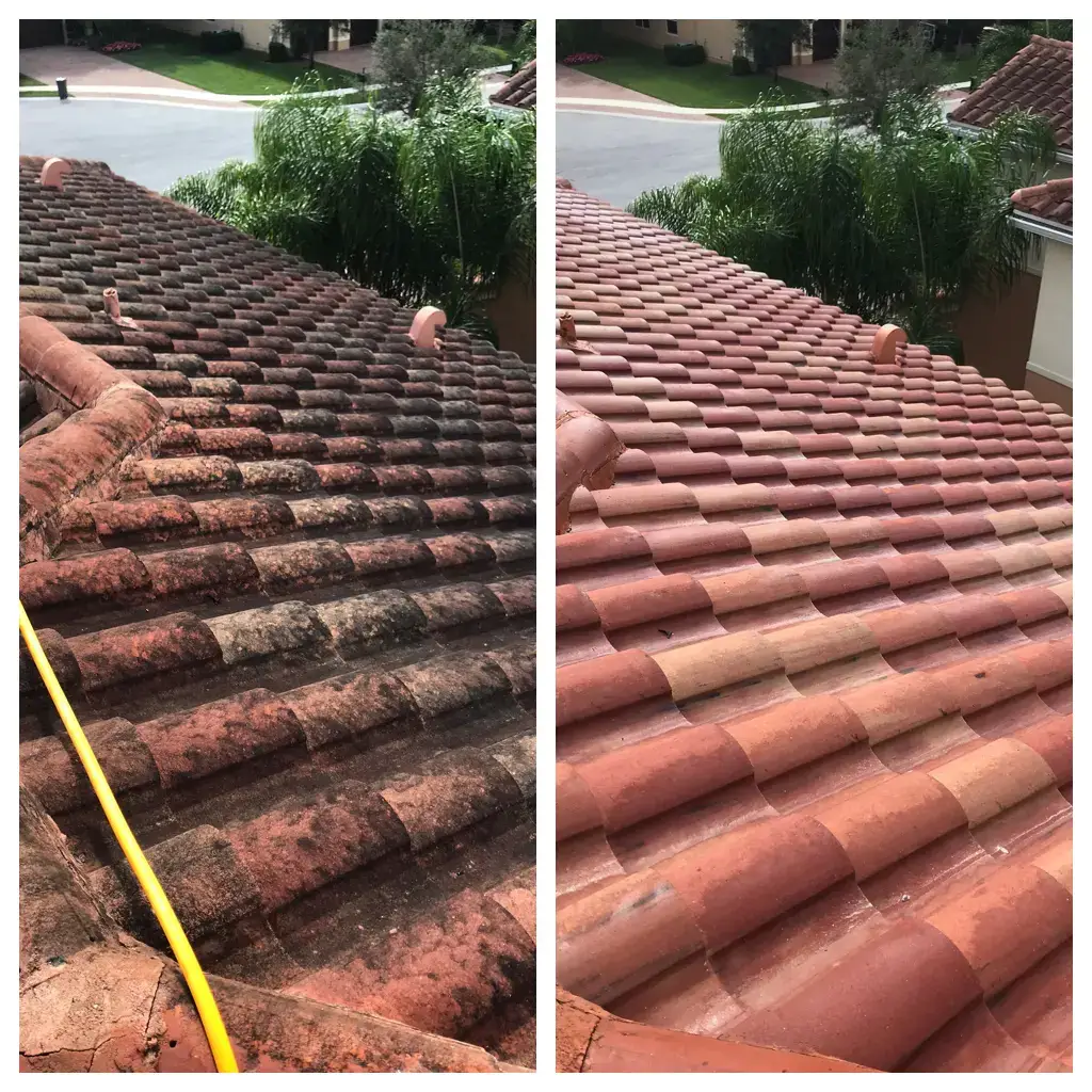 Roof Cleaning Before & After 2