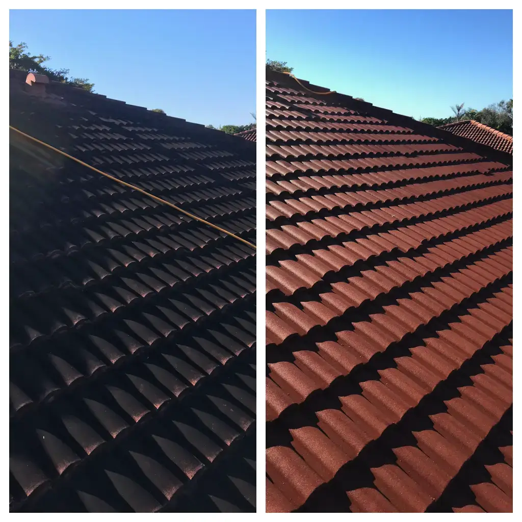 Roof Cleaning Before & After 1