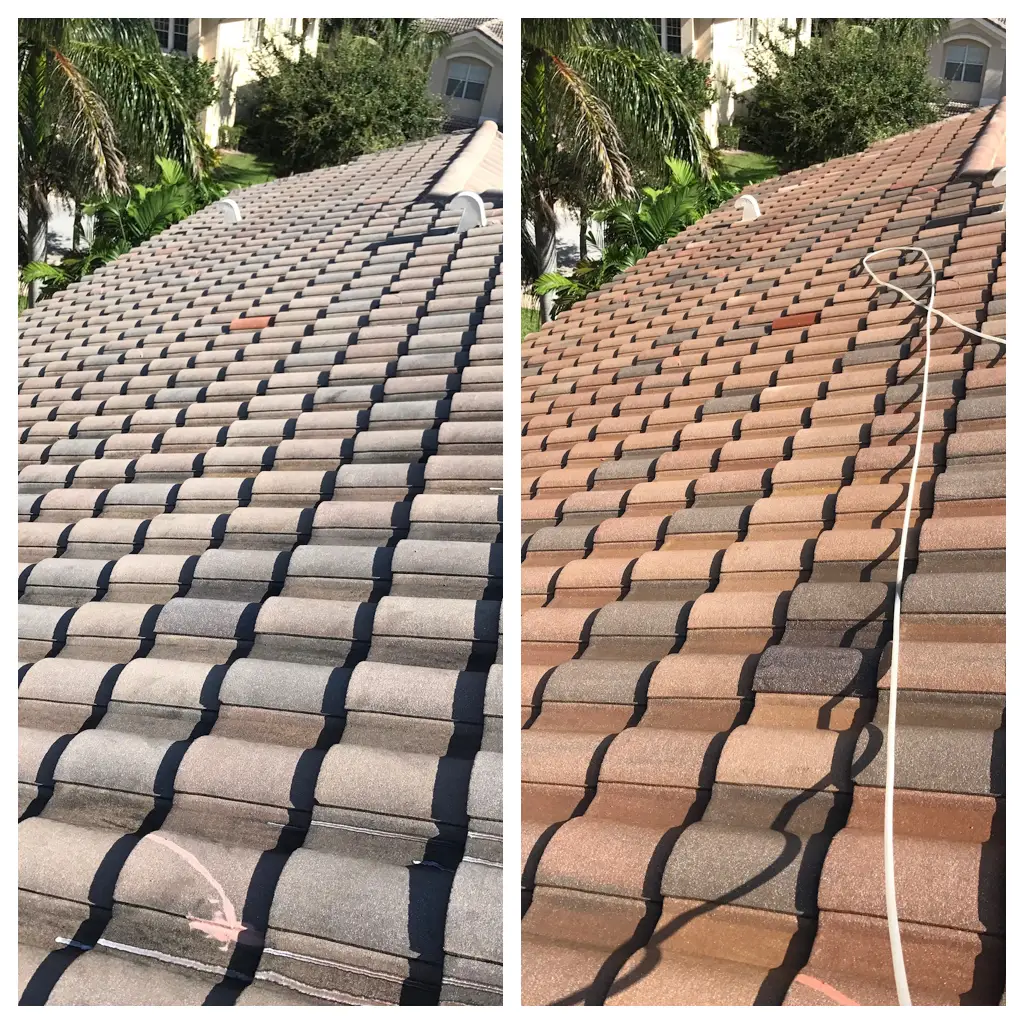 Boca Raton Roof Cleaning Pic