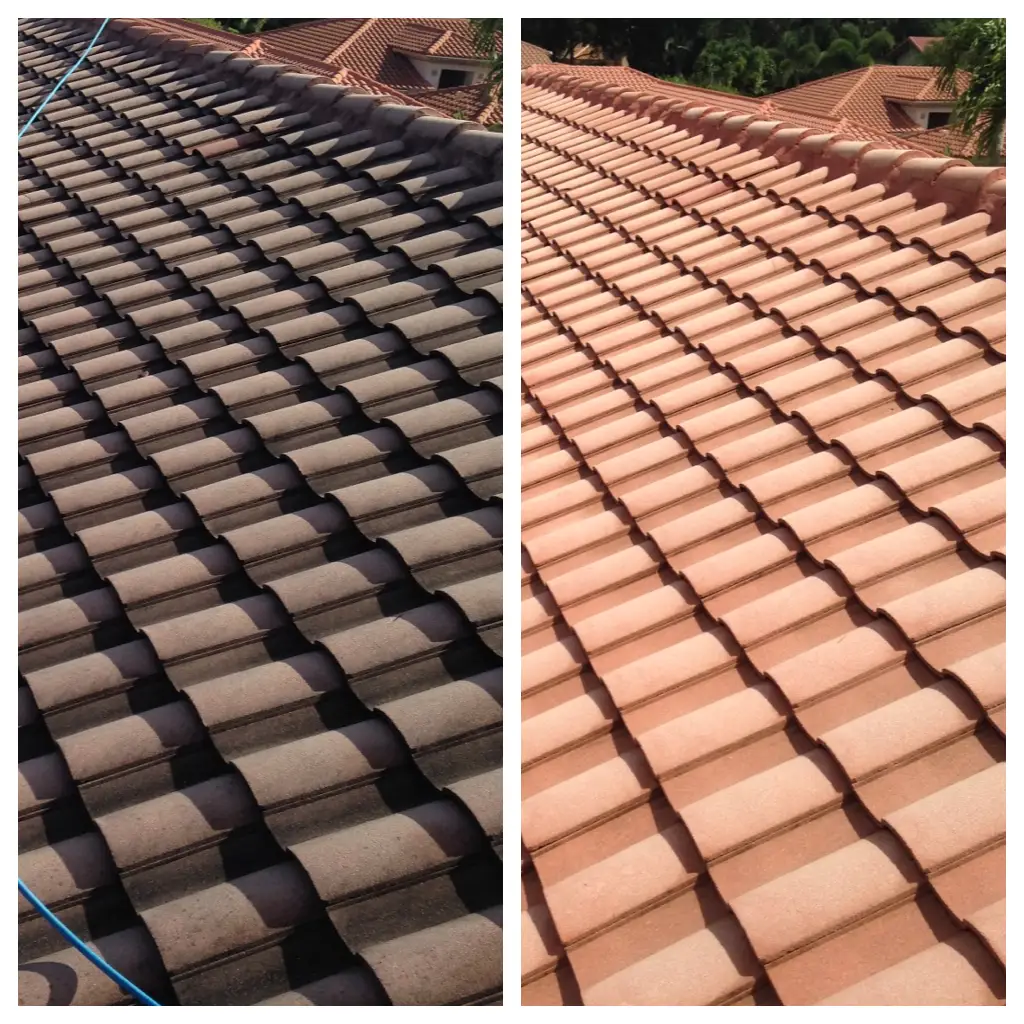 Roof Cleanin Boca Raton